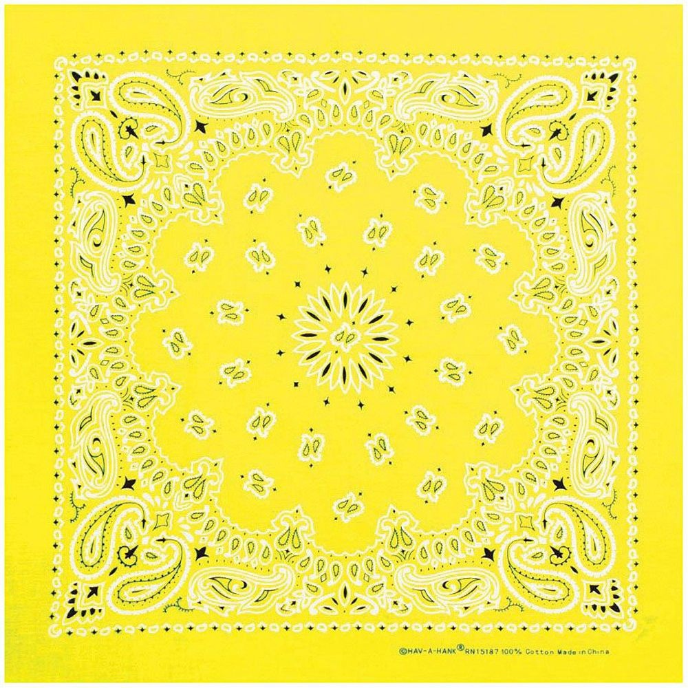 Bandana Neon Paisley