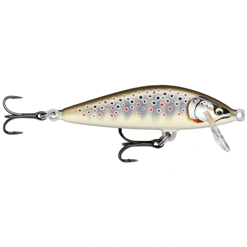 Gilded Brown Trout