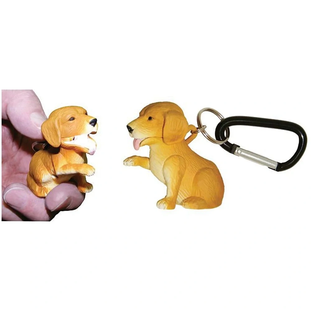 Perro Retriever