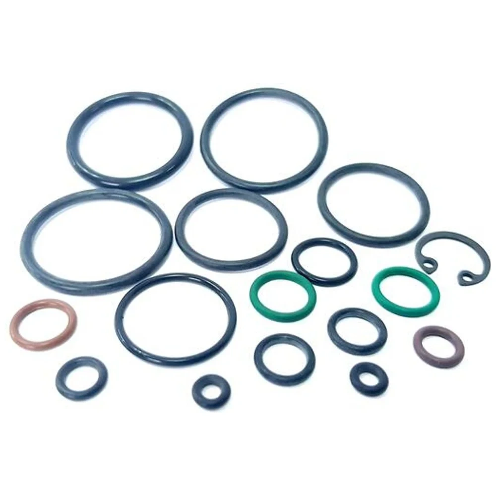Bolsa de O-Rings P10