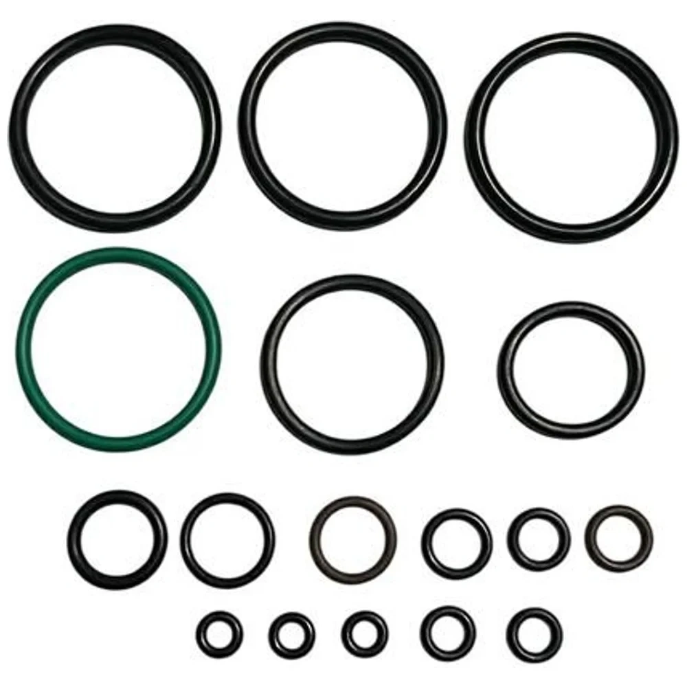 Bolsa de O-Rings P35