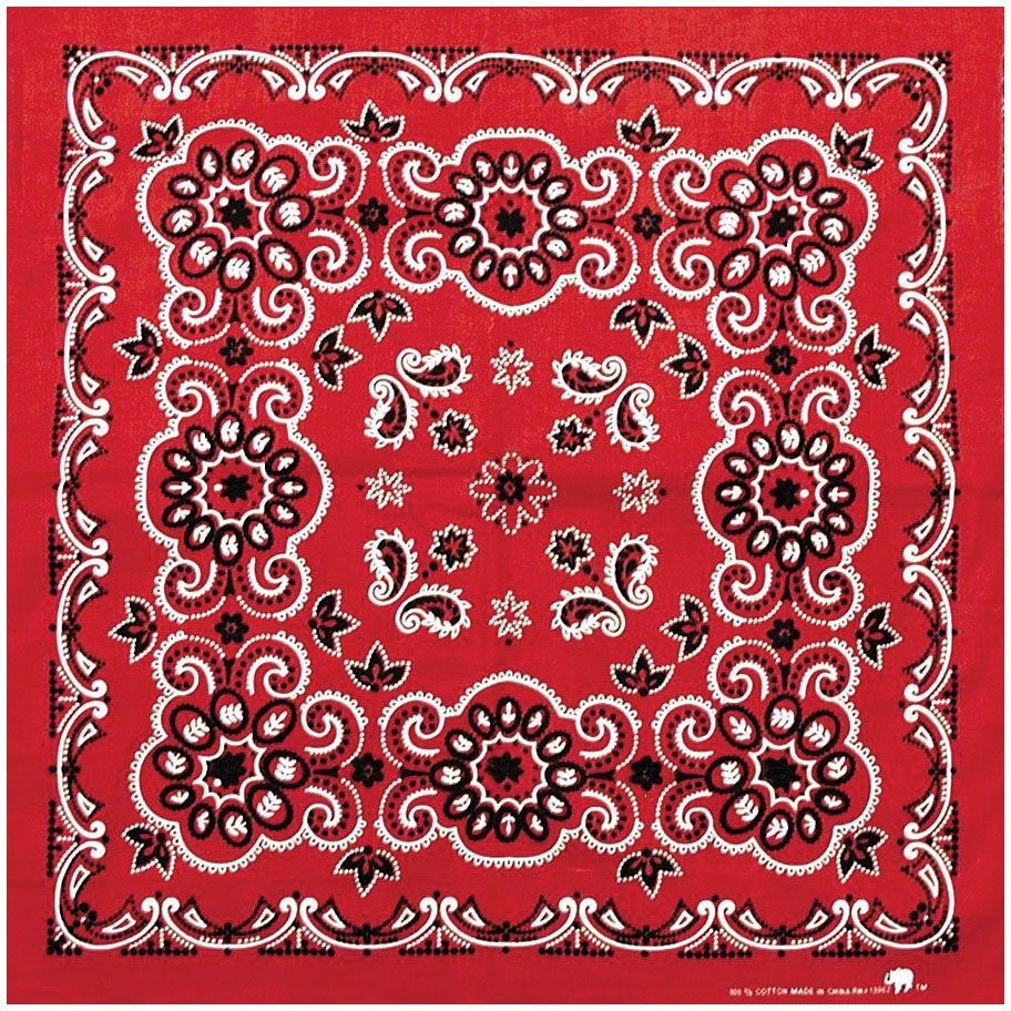 Bandana Texas Paisley