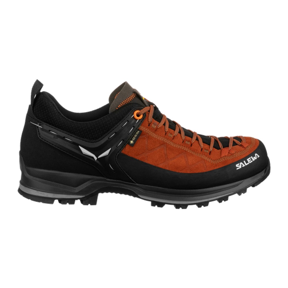 Zapatilla Hombre Mtn Trainer 2 Gtx