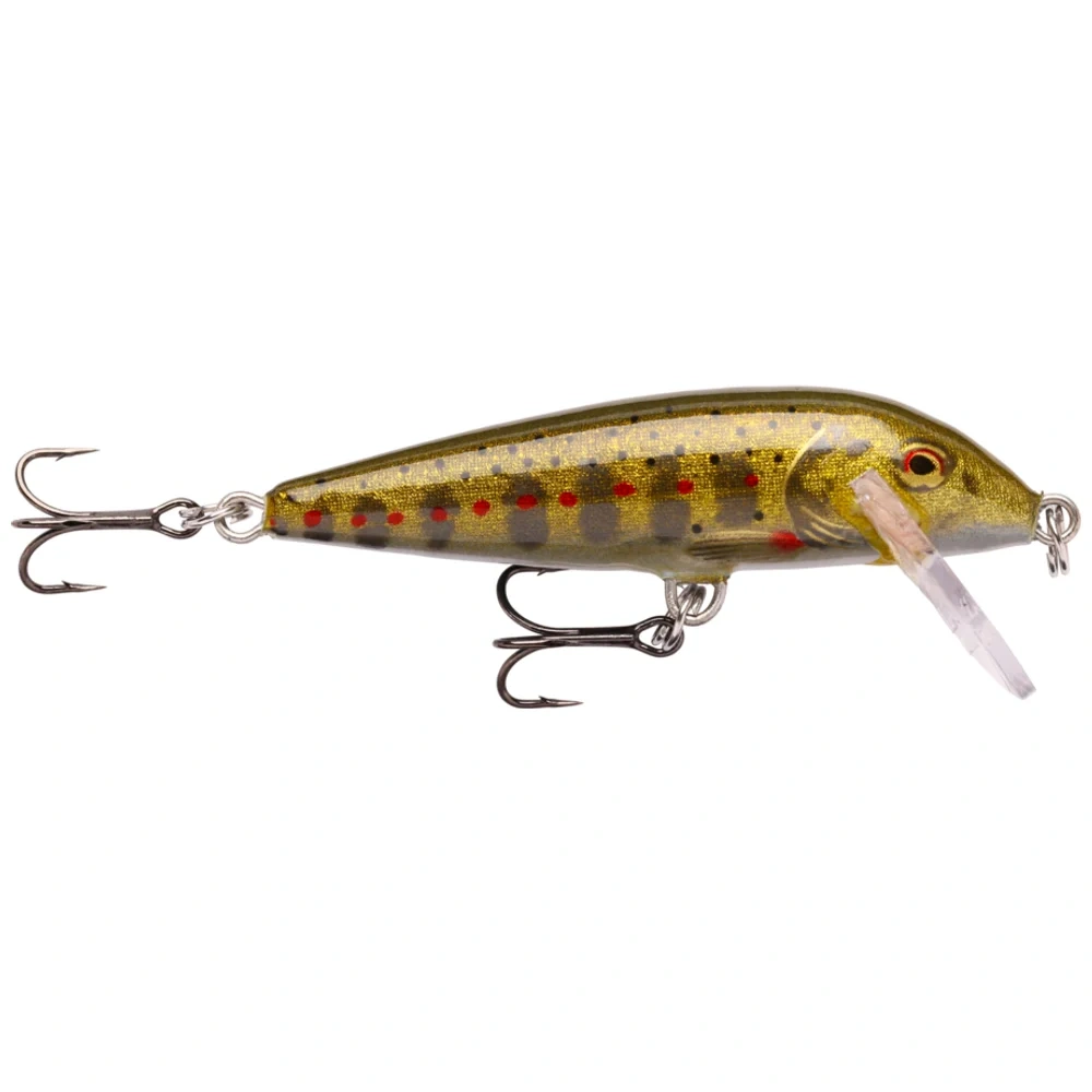 Gold Juvenile Trout