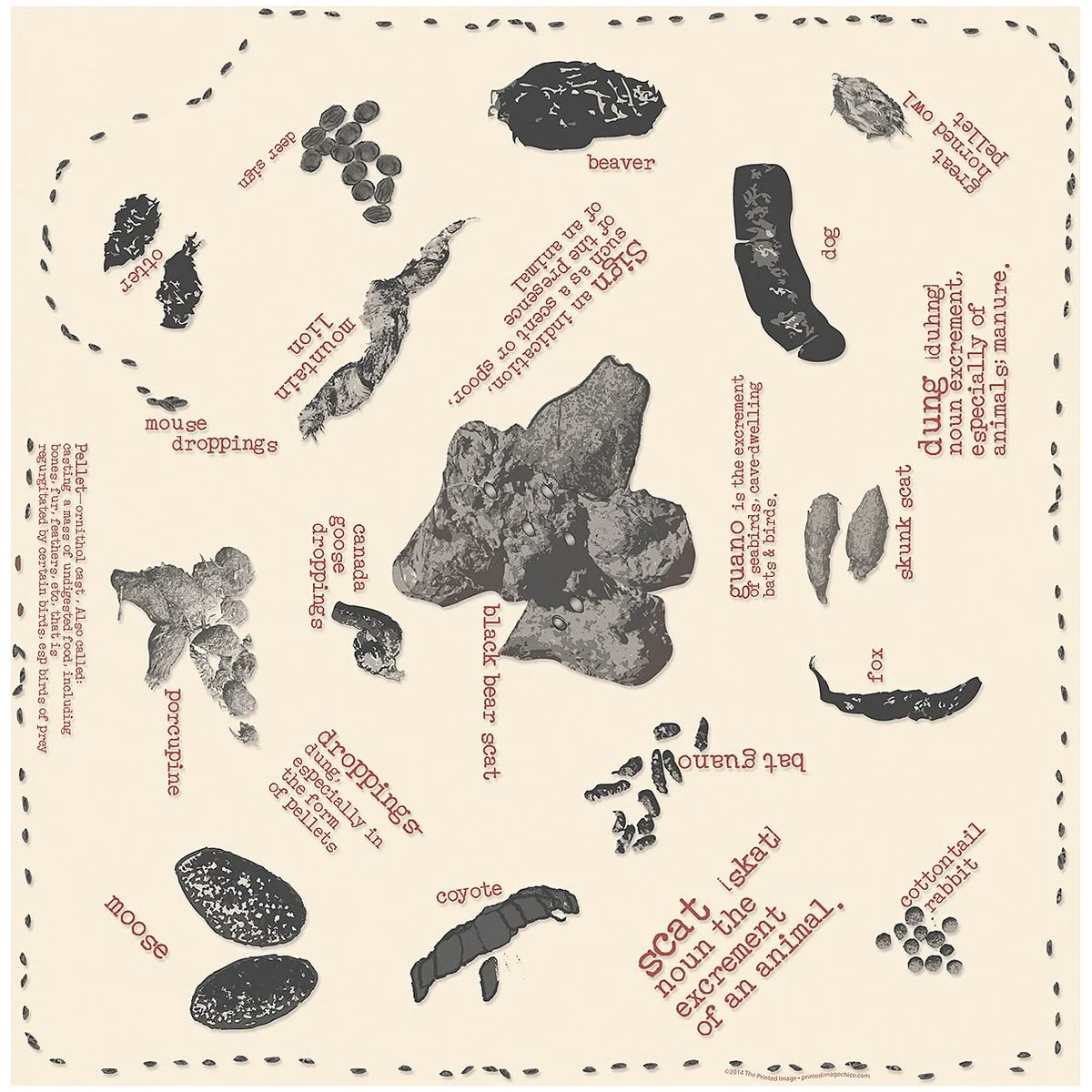 Fecas de Fauna