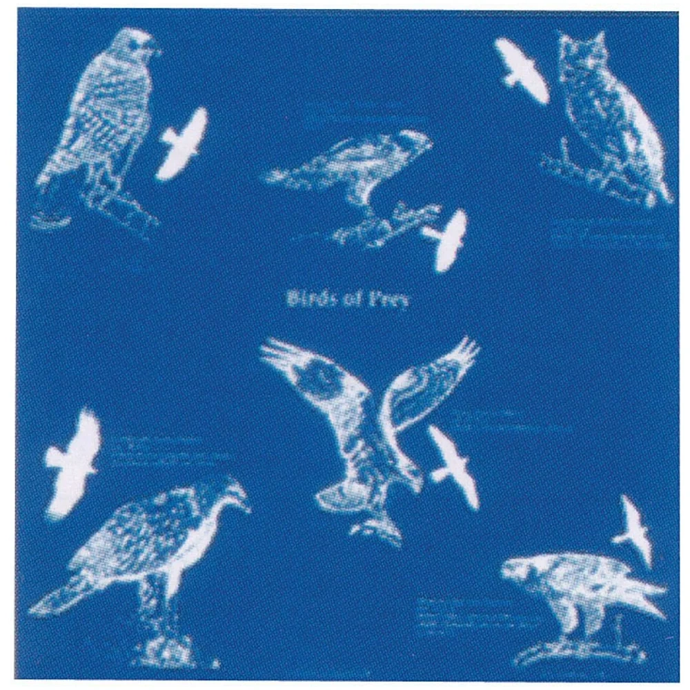 Aves Rapaces