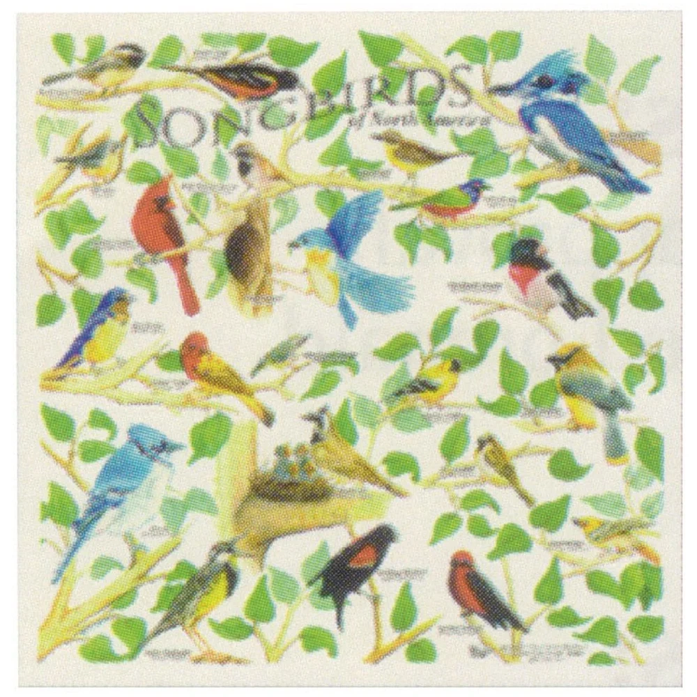 Aves Canoras