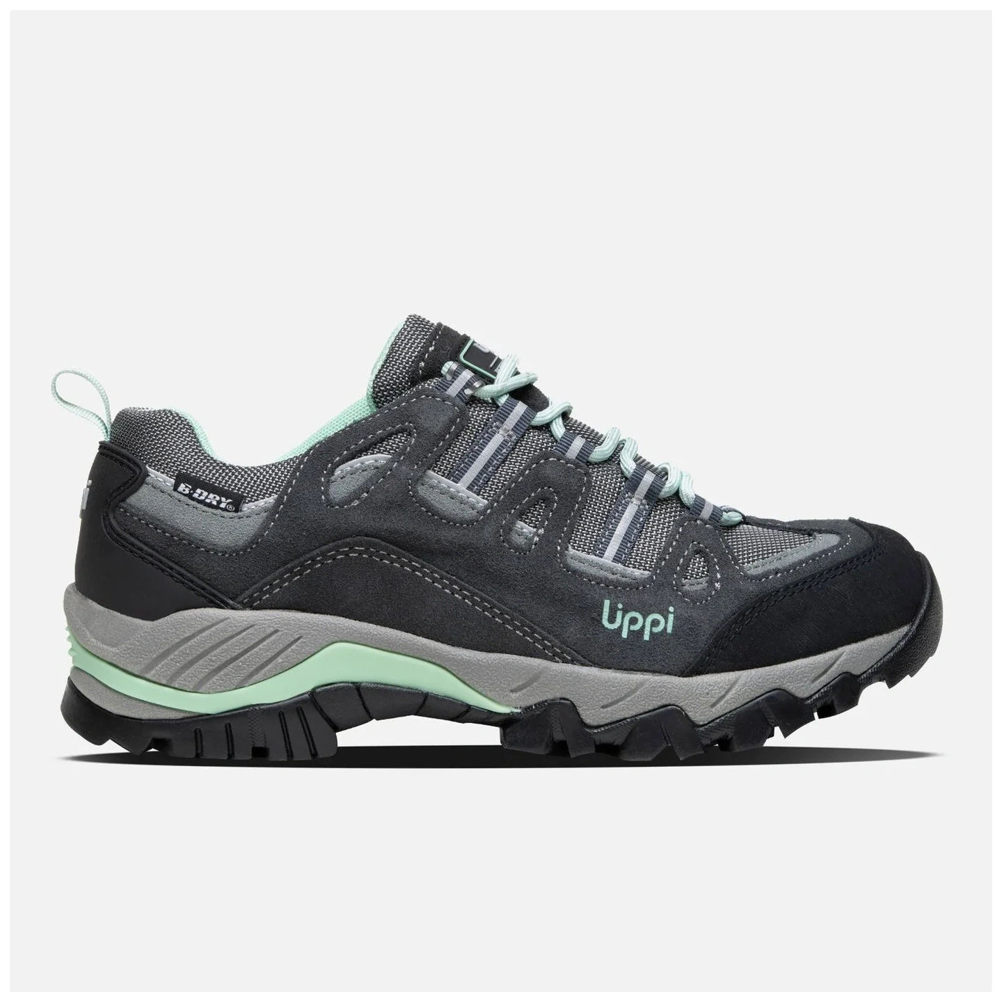 Zapato Mujer Puelo Cs Low