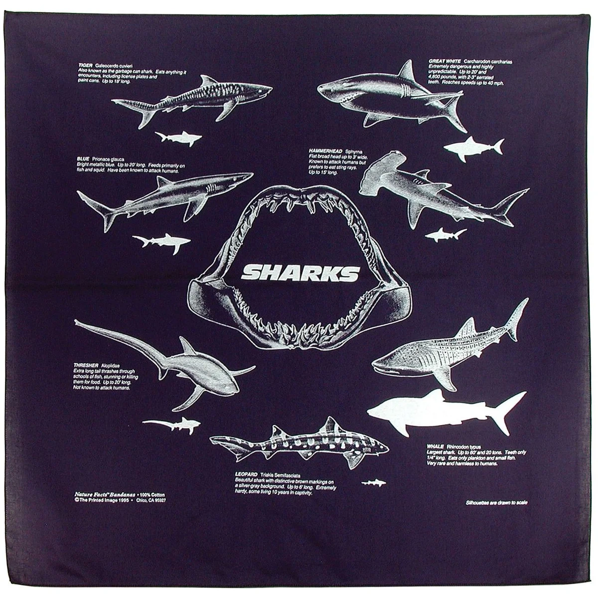 Tiburones