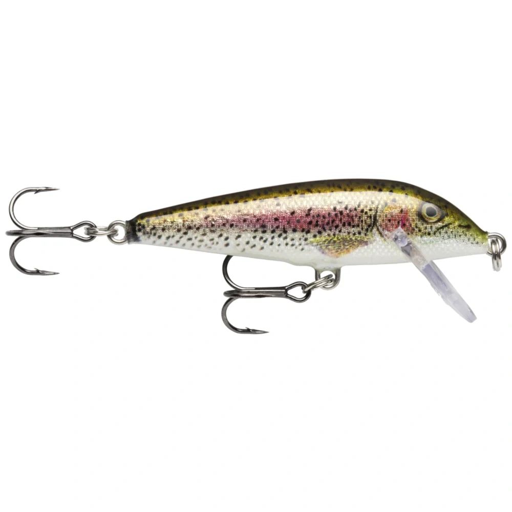 Live Rainbow Trout