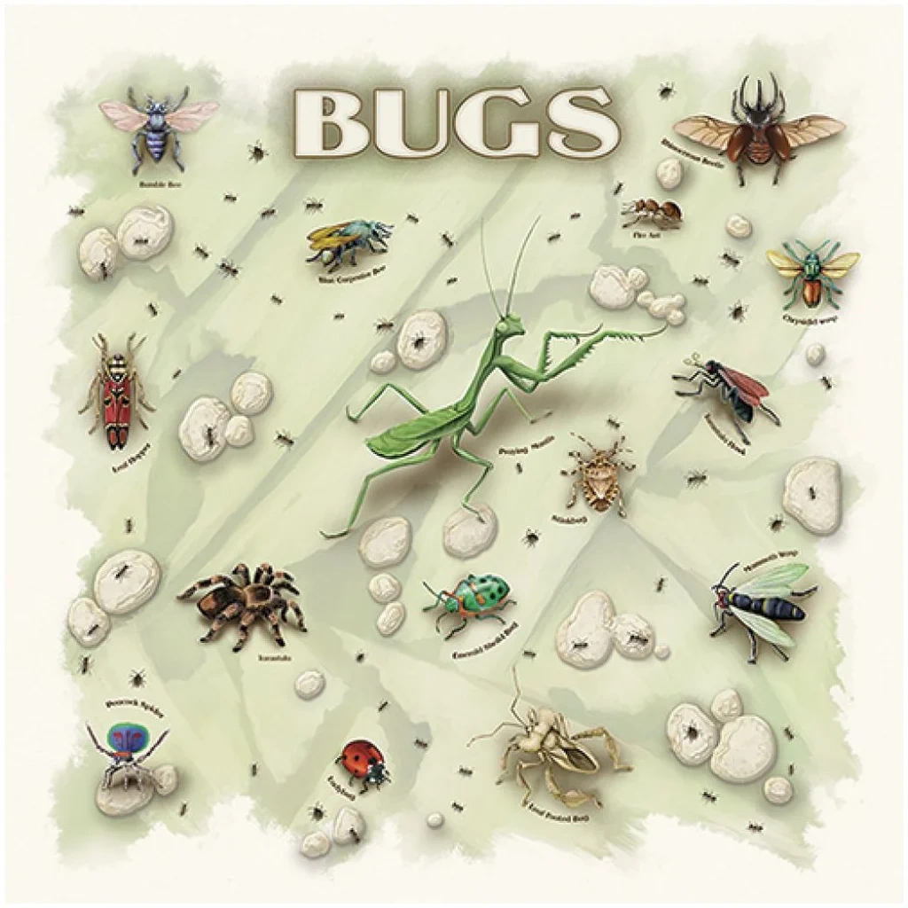 Insectos