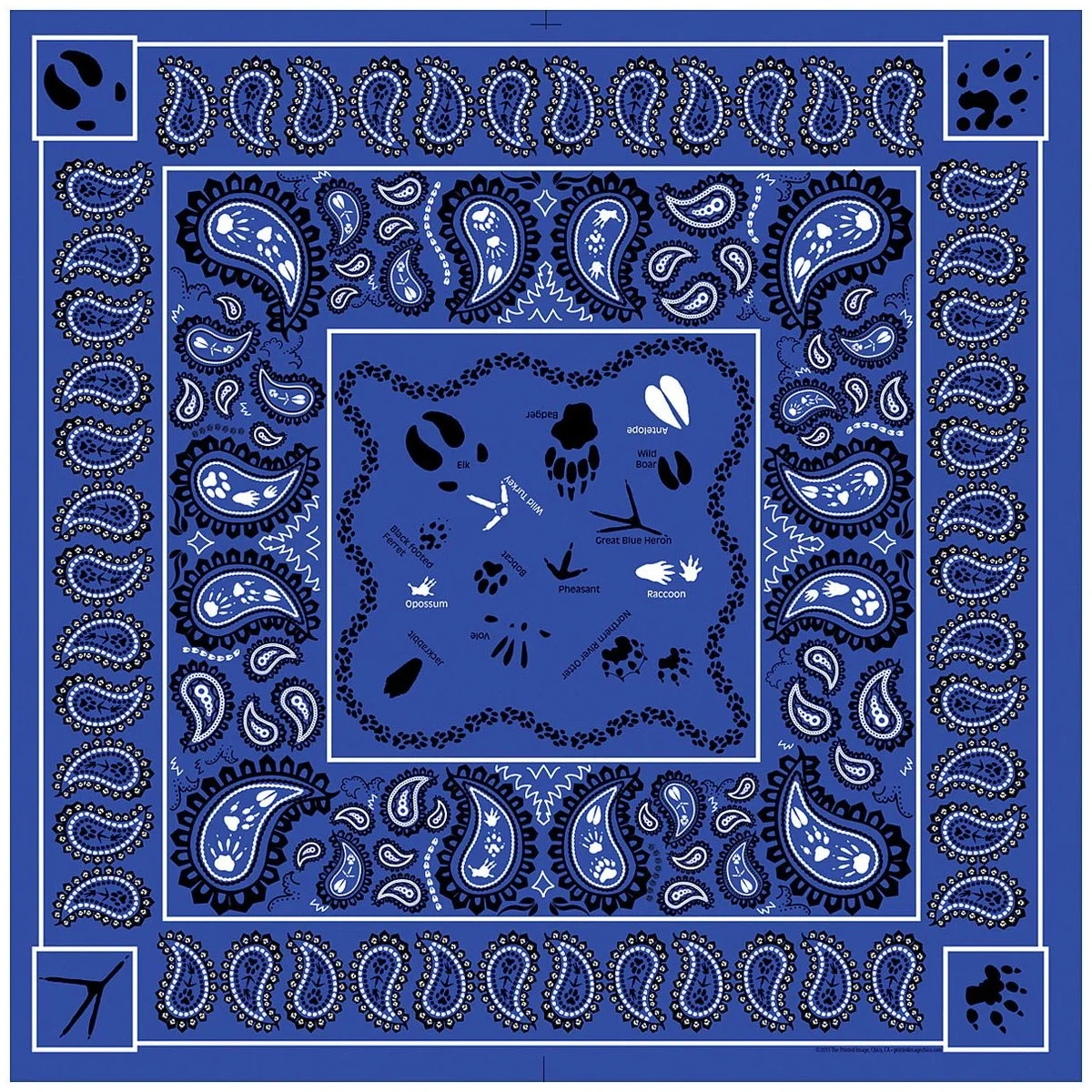 Paisley