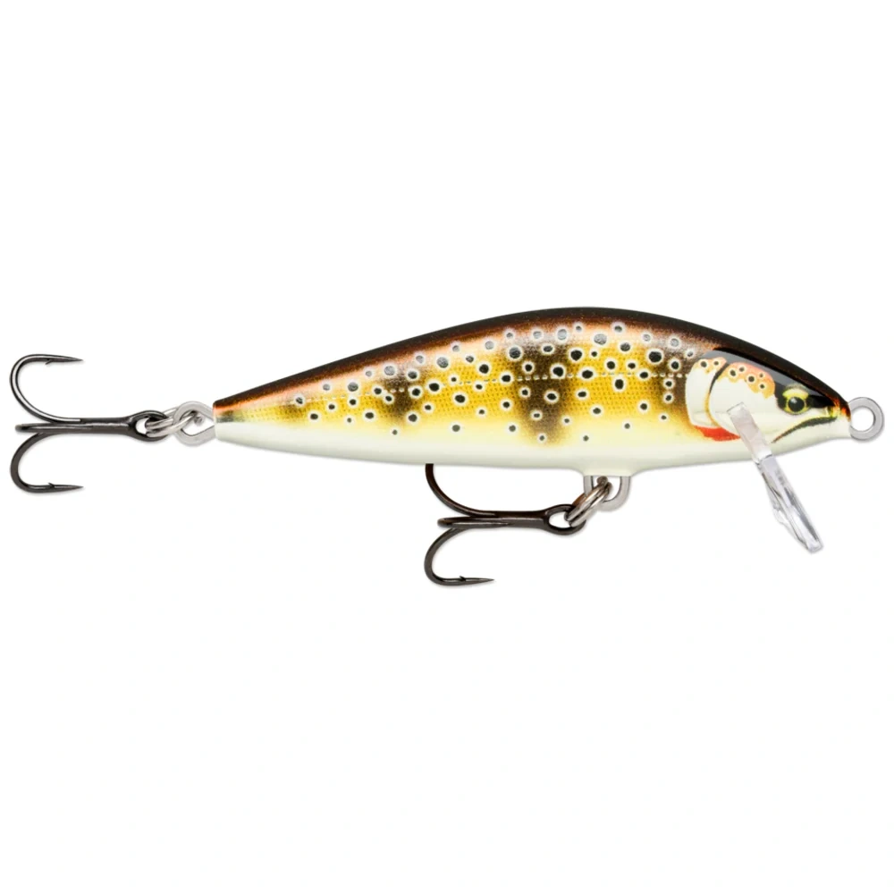Gilded Mediterranean Trout