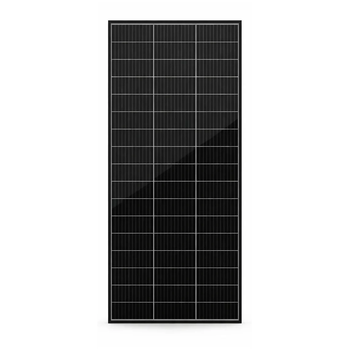 Panel Solar Monocristalino Bifacial 200W