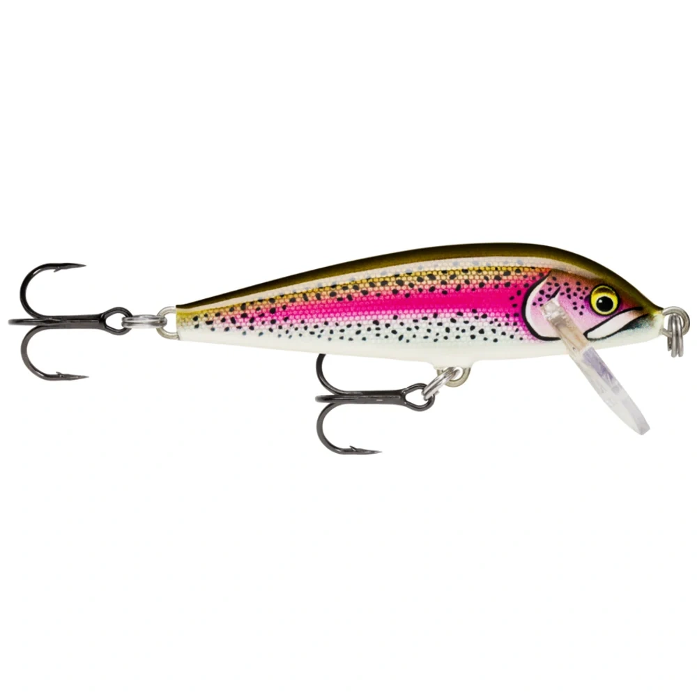 Artistic Rainbow Trout