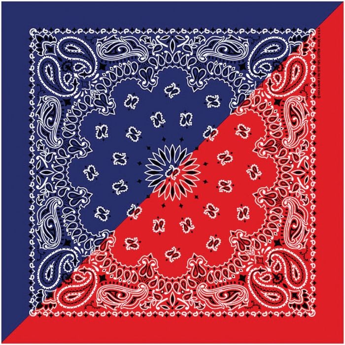 Bandana Split Paisley