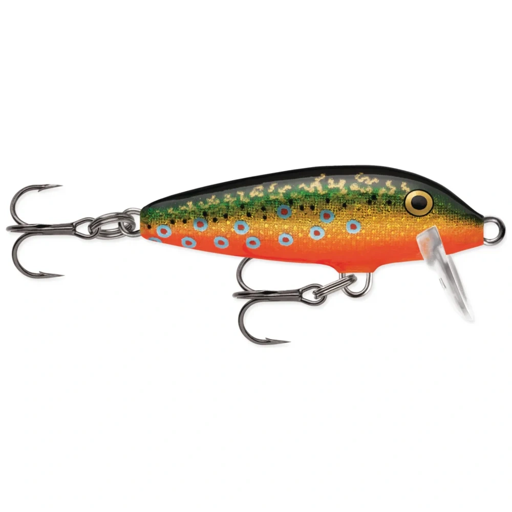 Brook Trout