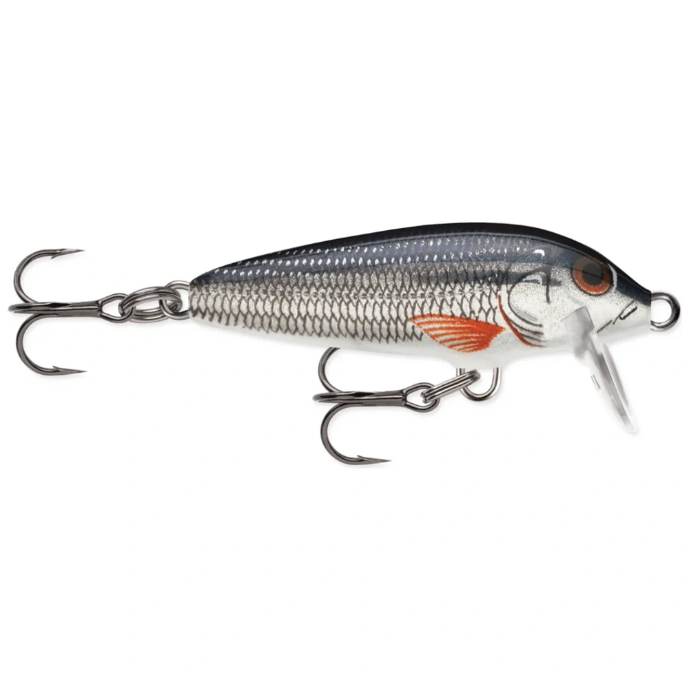 Silver Shiner