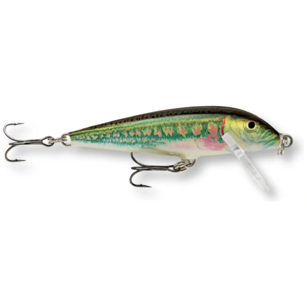 Minnow