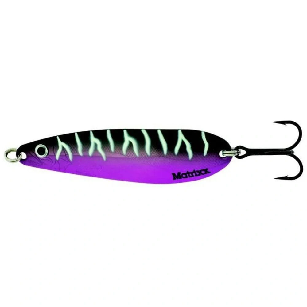 Morado/Blanco Cebra