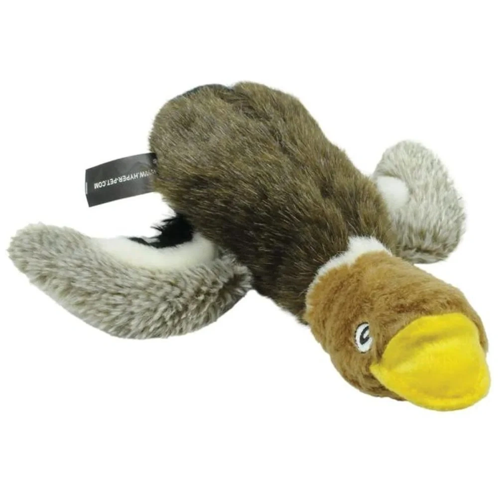 Pato