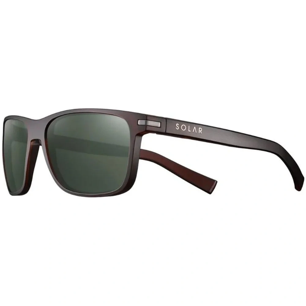 Young Cat 3 Polarized