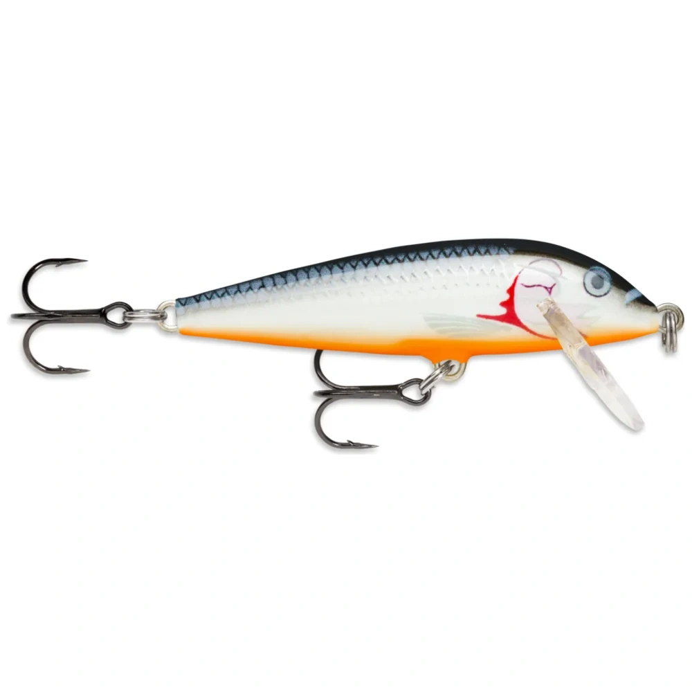 Silver Shiner