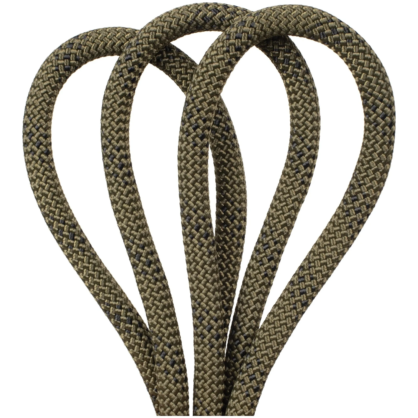 Oliva