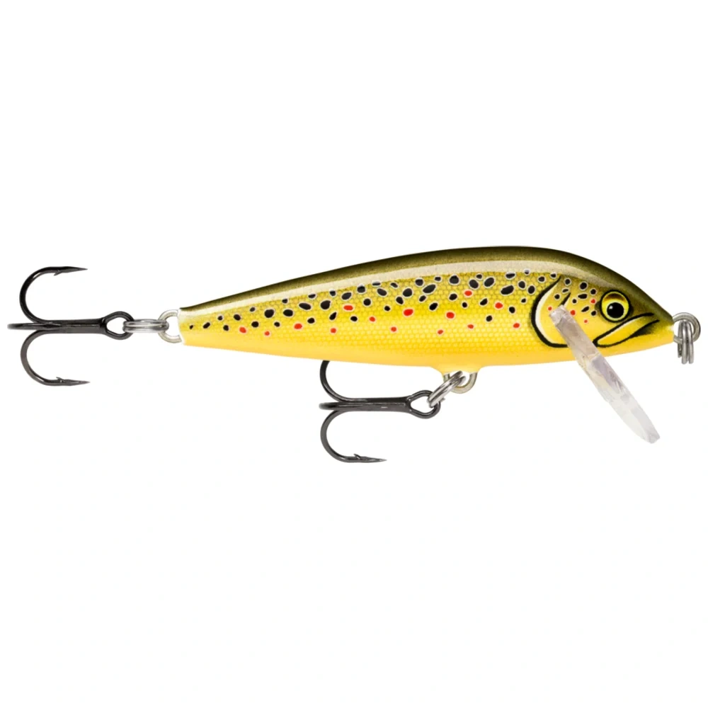 Artistic Trout