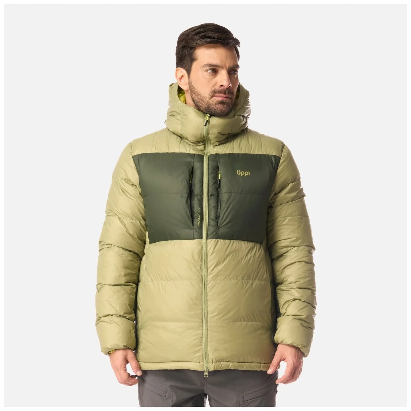 Chaqueta Hombre Reichert Down Hoody Jacket