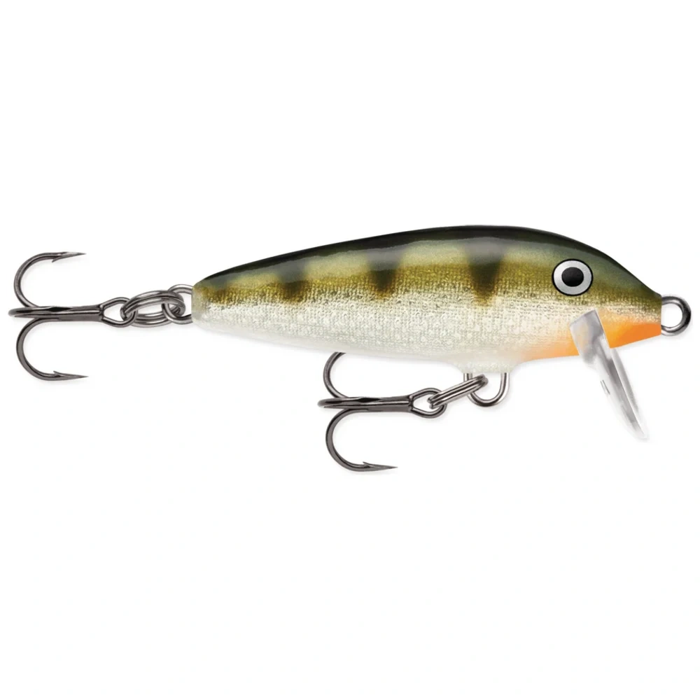 Yellow Perch
