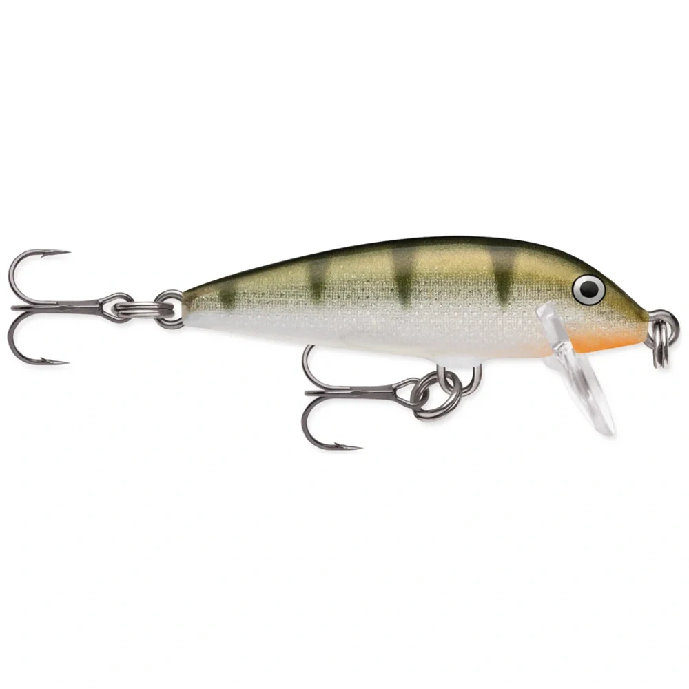 Yellow Perch