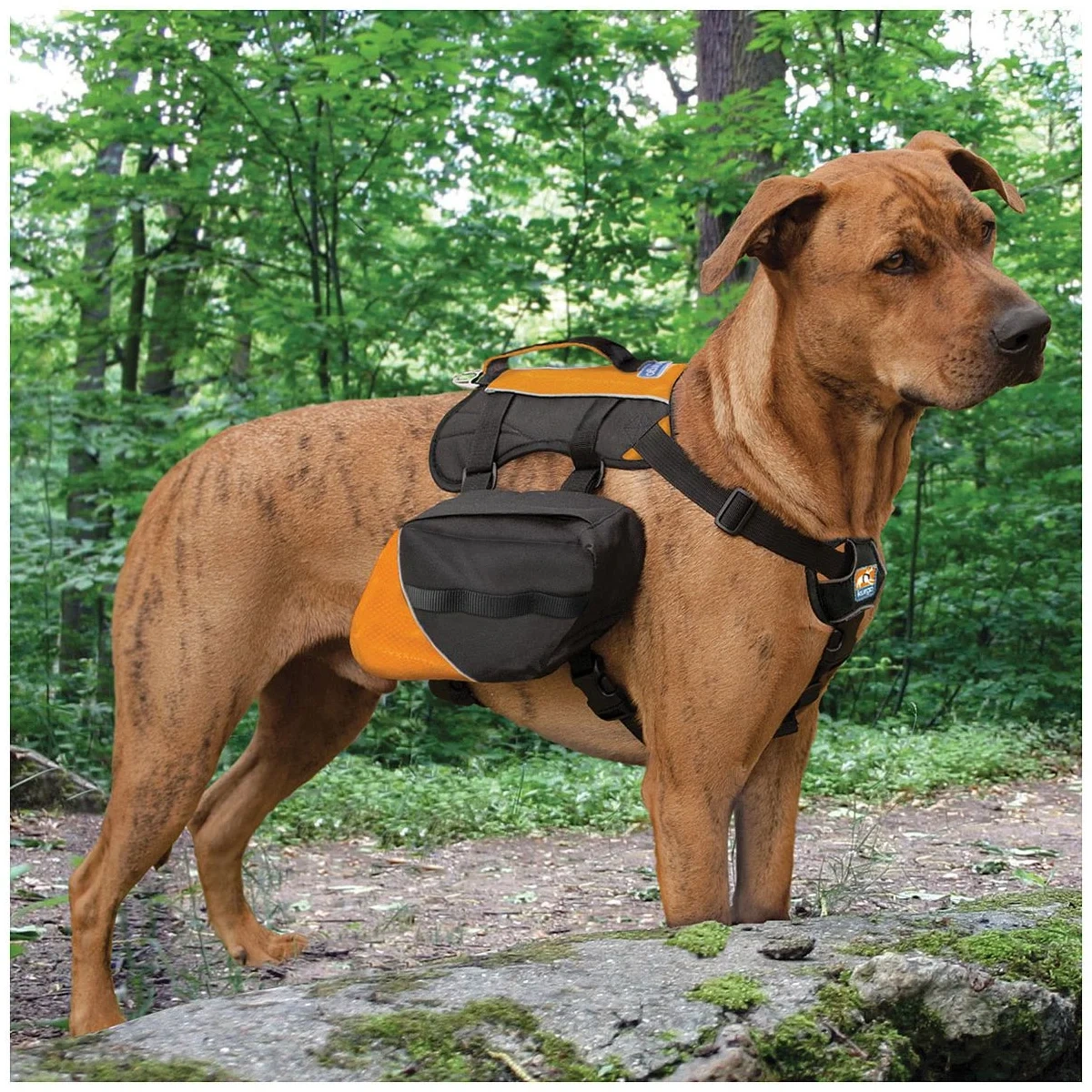 Mochila para Perro Baxter