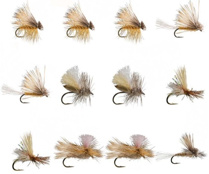 Set De Moscas Secas Tan Caddis Dry Assortment-12 Unidades 
