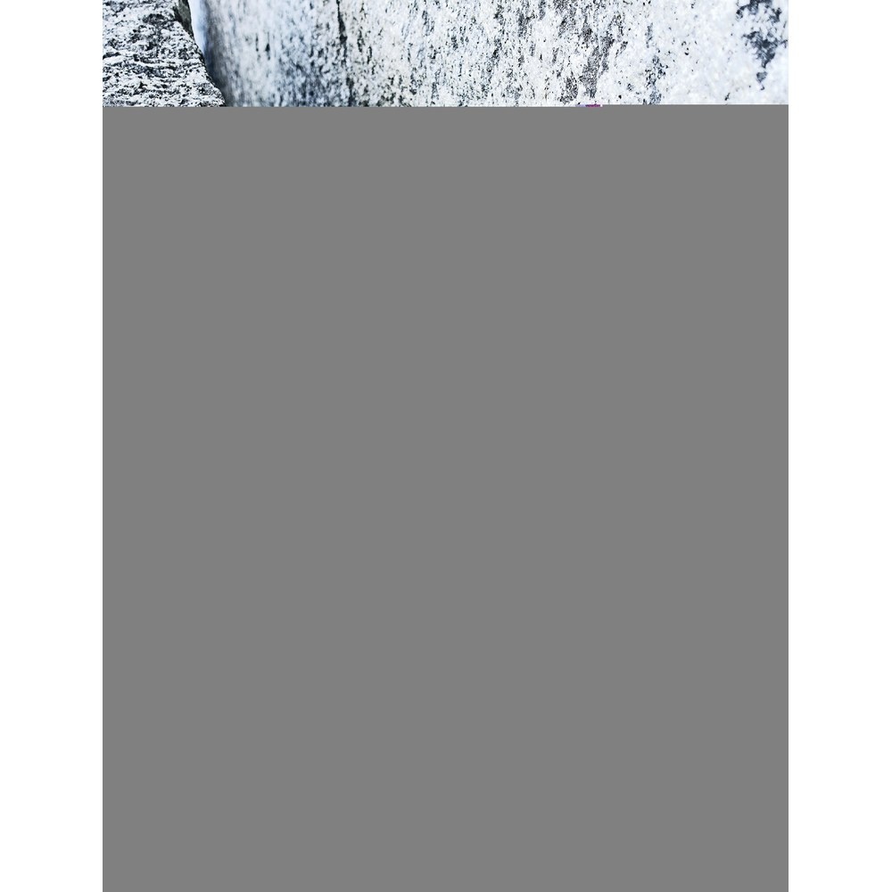 Libro 1001 Climbing Tips