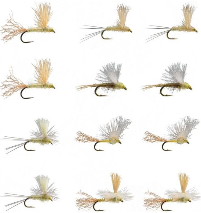 Set De Moscas Secas Pmd Dry Assortment-12 Unidades