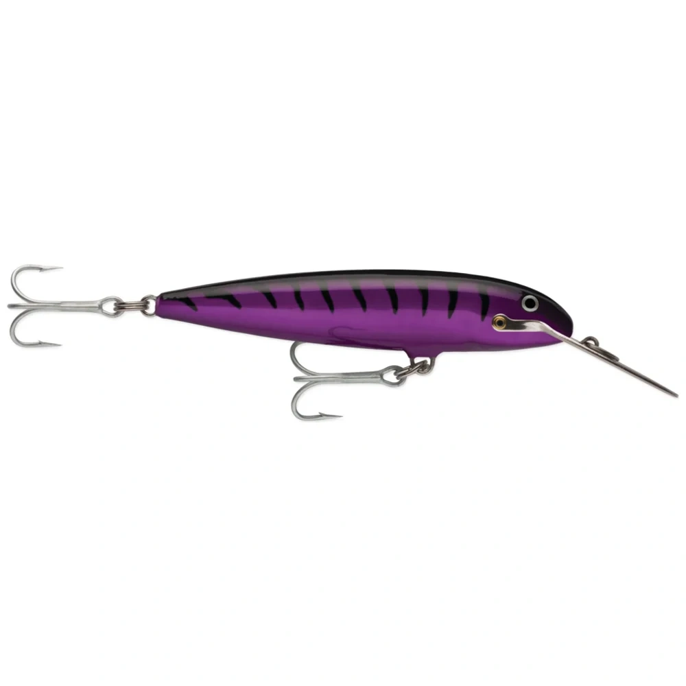 Purple Mackerel