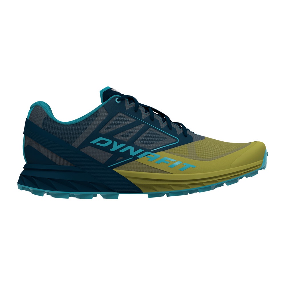 Zapatillas Alpine DNA Hombre