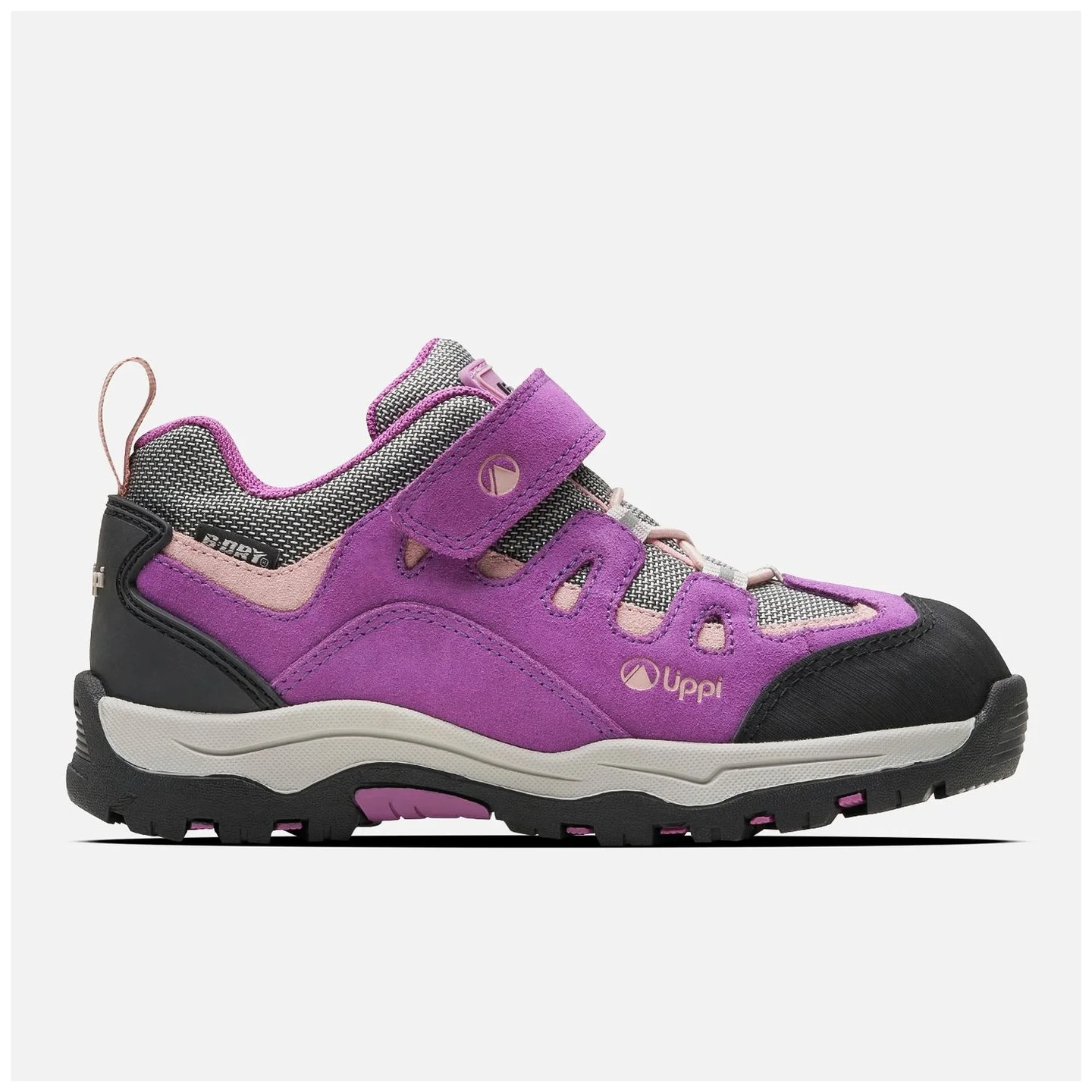 Morado