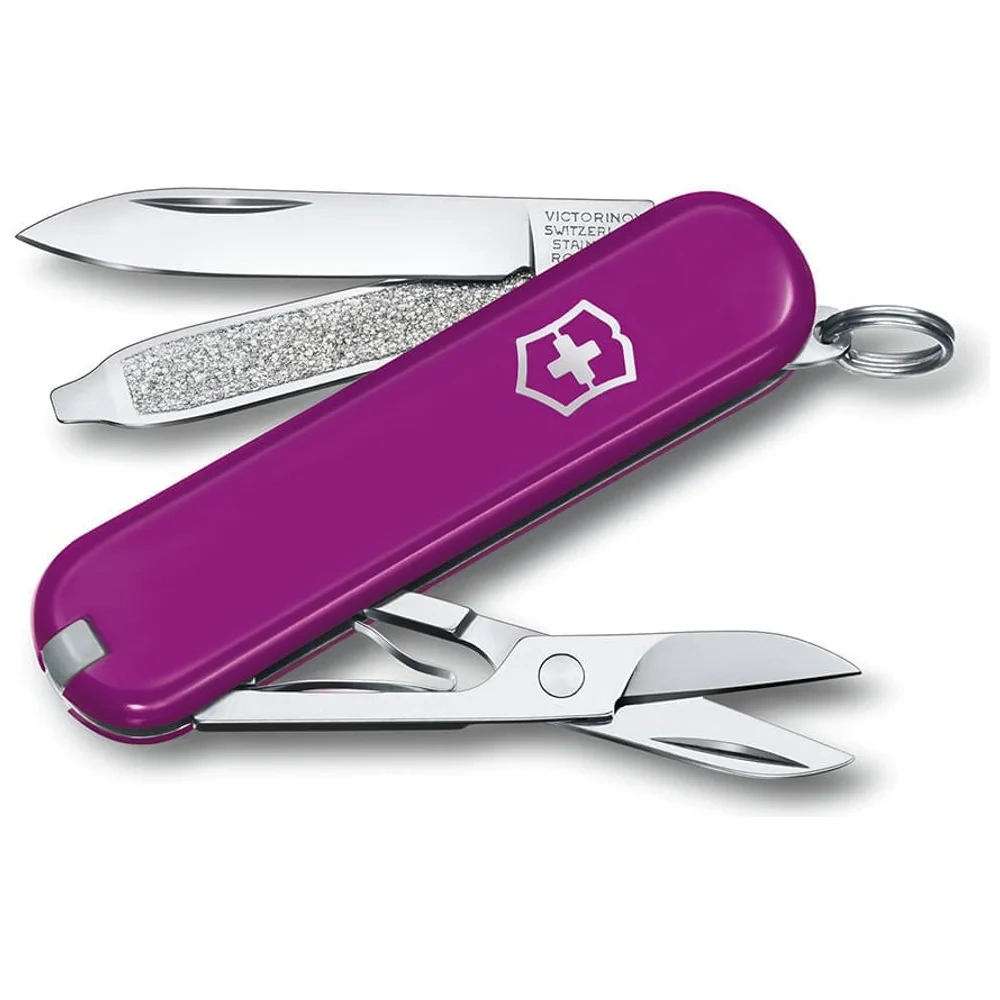 Morado