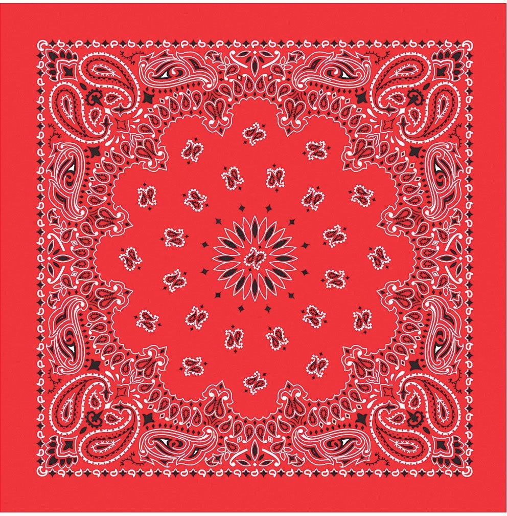 Bandana USA Paisley