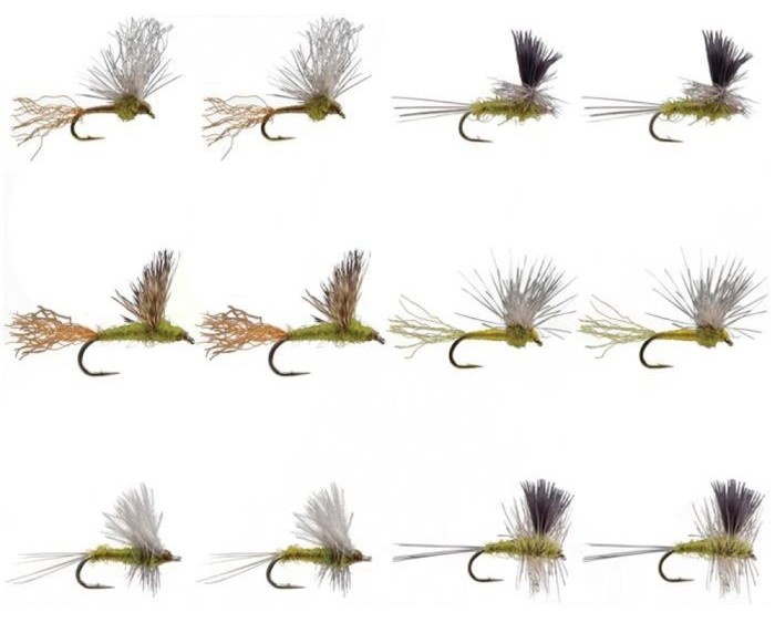Set De Moscas Secas Bwo Dry Fly Assortment-12 Unidades