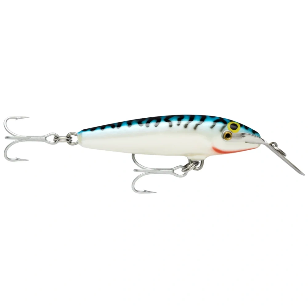 Silver Mackerel