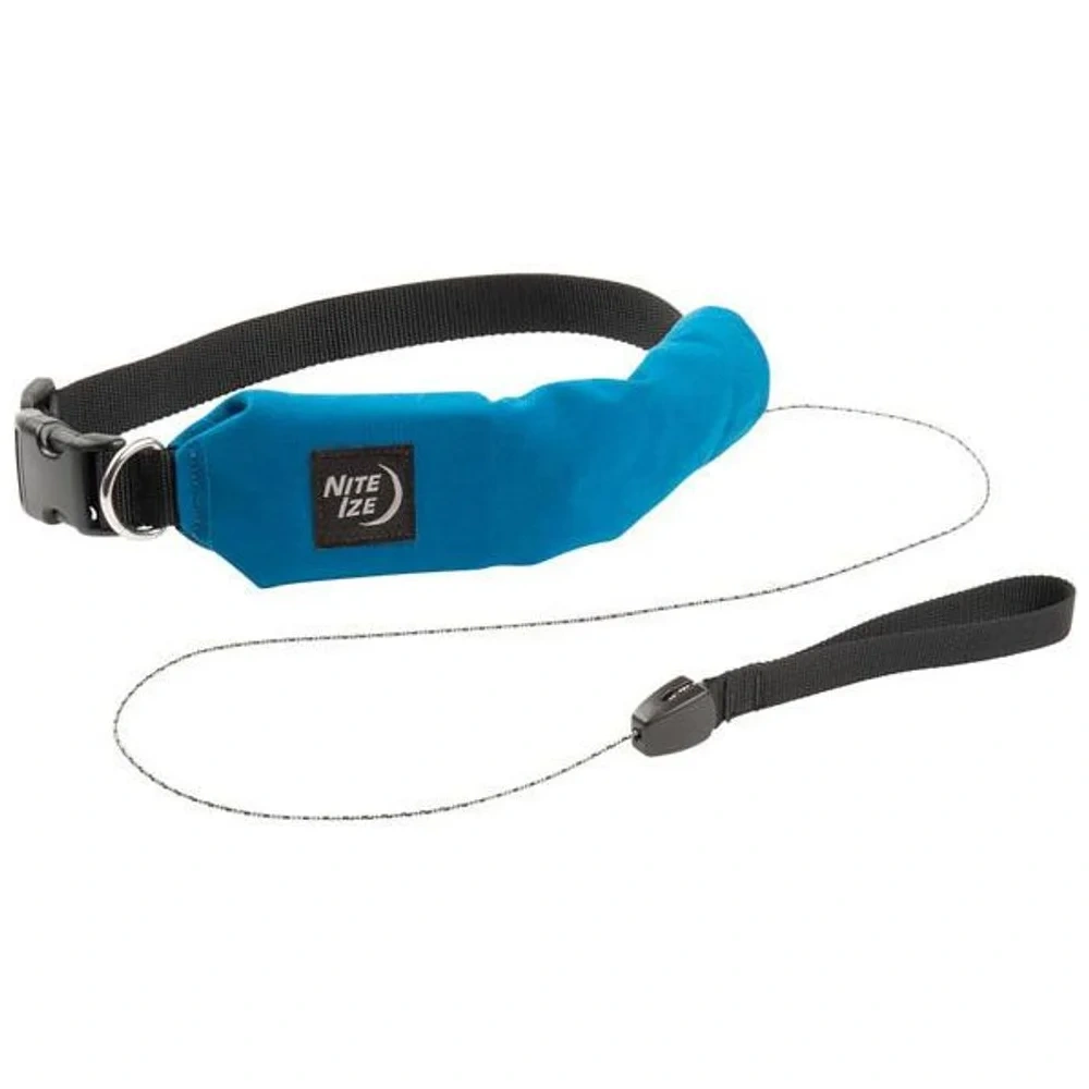 Set Collar + Correa