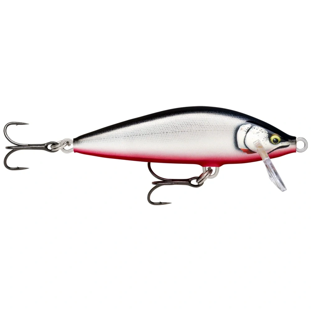 Gilded Red Belly