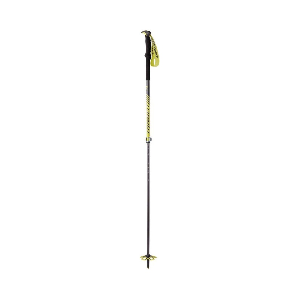Bastón Free Vario Pole