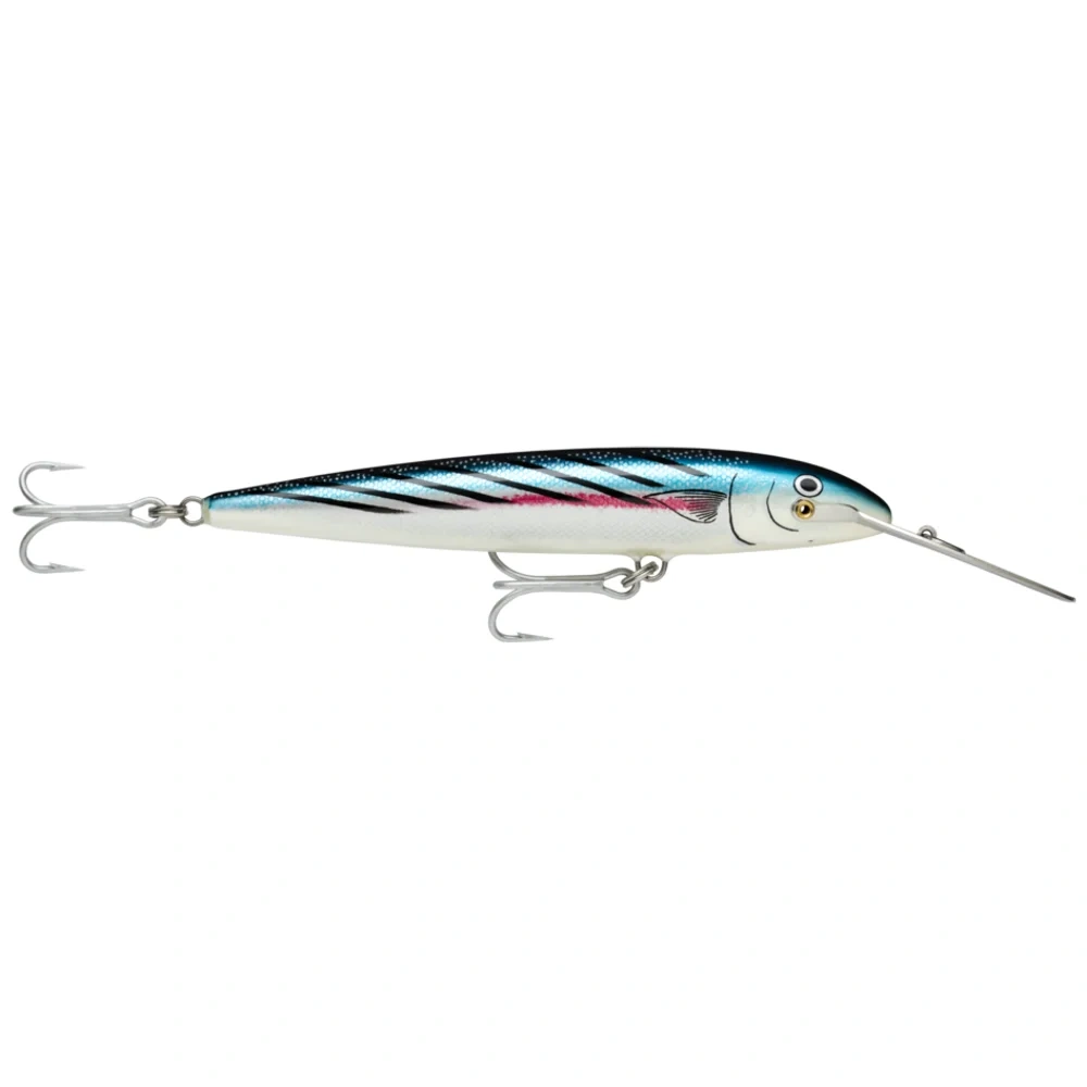 Bonito