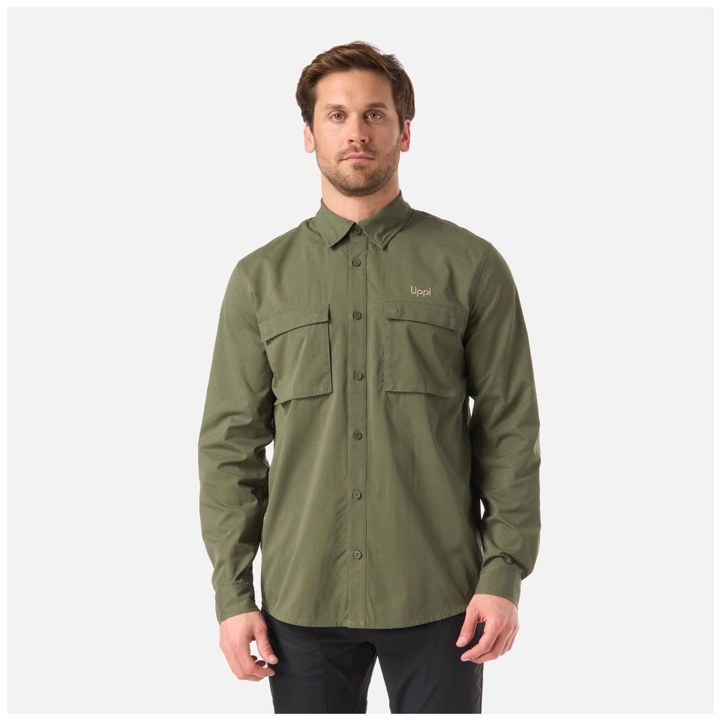 Verde Musgo