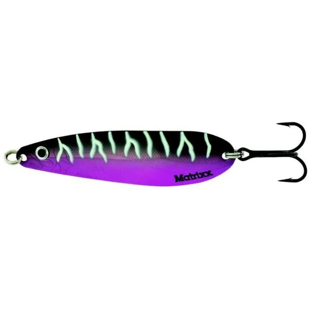 Morado/Blanco Cebra