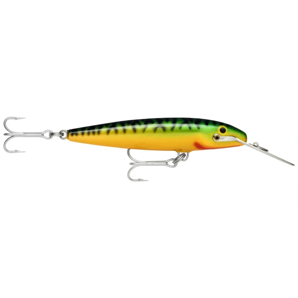 Green Mackerel